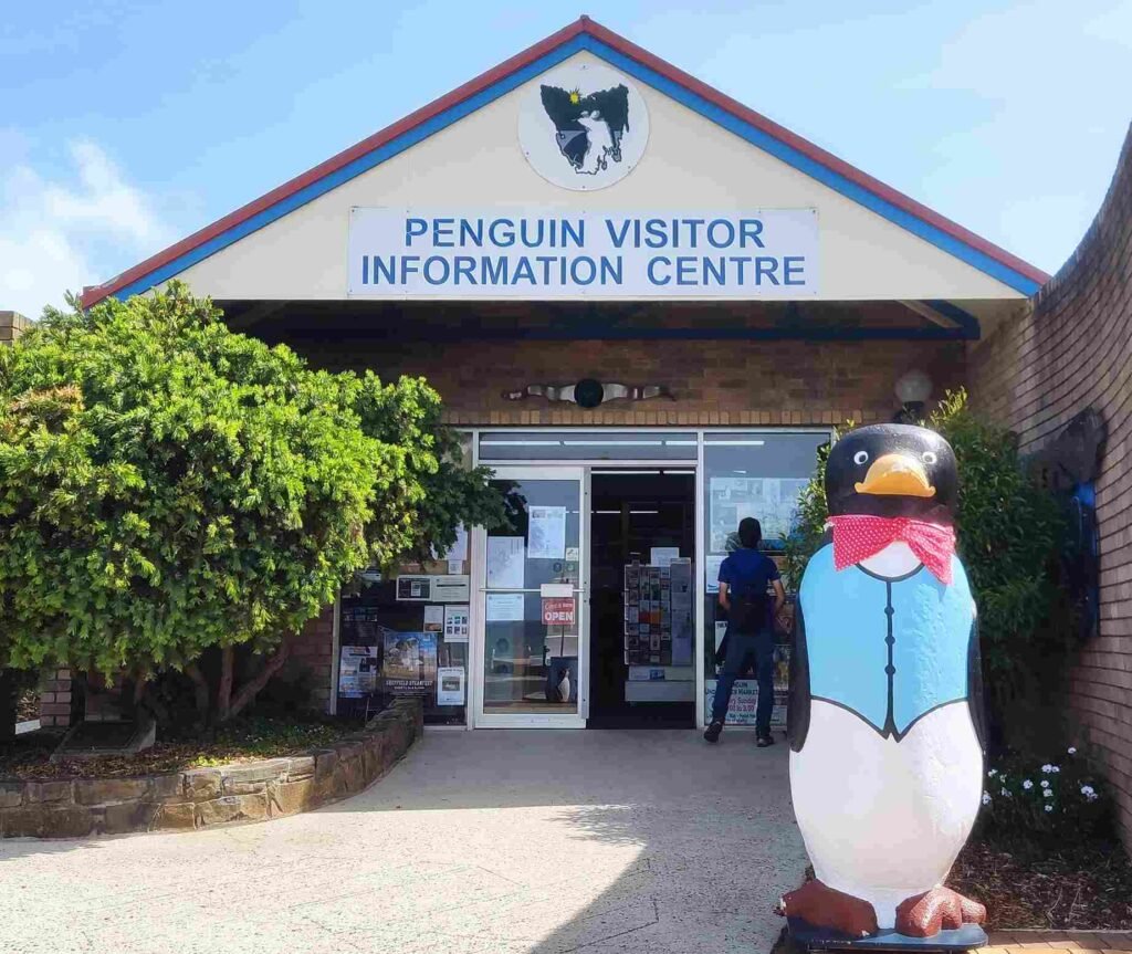 Things to do in Penguin Tasmania